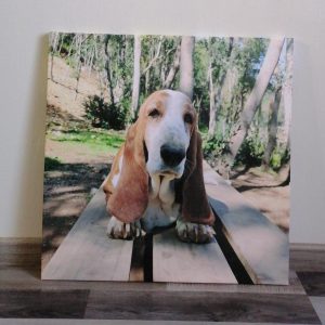 foto tela