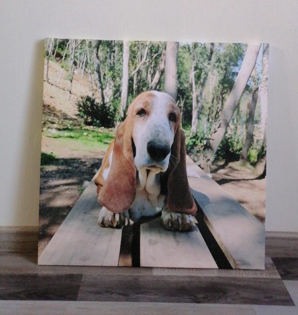 foto tela